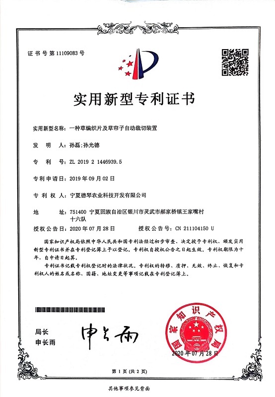 宁夏LUTUBE最新官网子