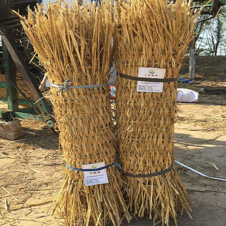 宁夏LUTUBE最新官网子